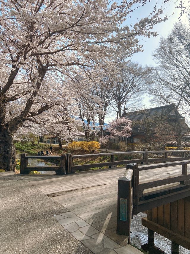 Oshino Hakkai Village