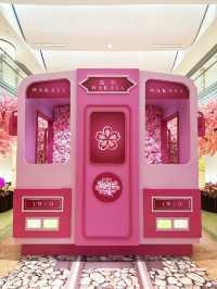 ⭐️原來係最後一日😱黃埔「5月限定櫻花🌸の旅」
