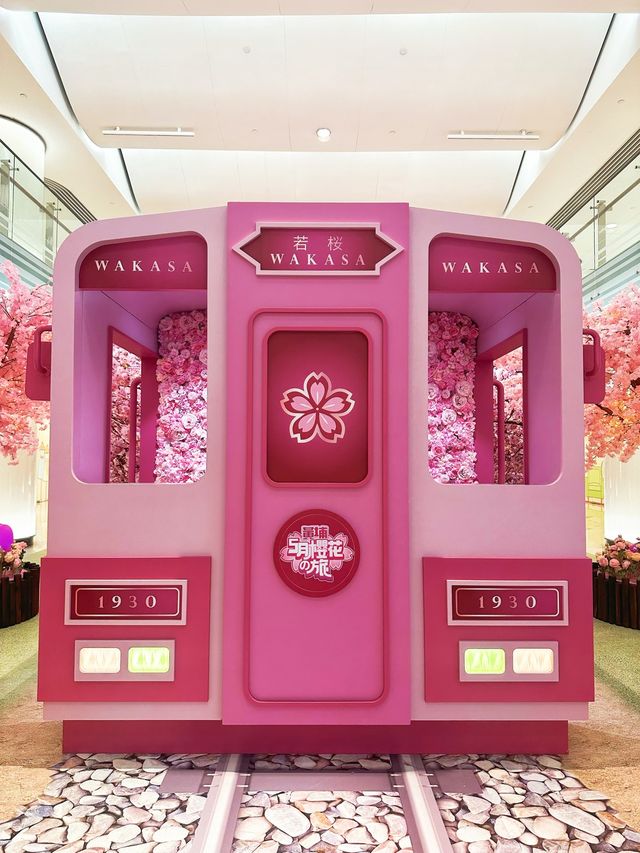 ⭐️原來係最後一日😱黃埔「5月限定櫻花🌸の旅」