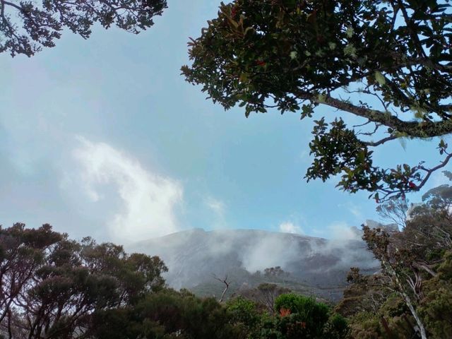 ⛰️ Mount Kinabalu Adventures: Part 1