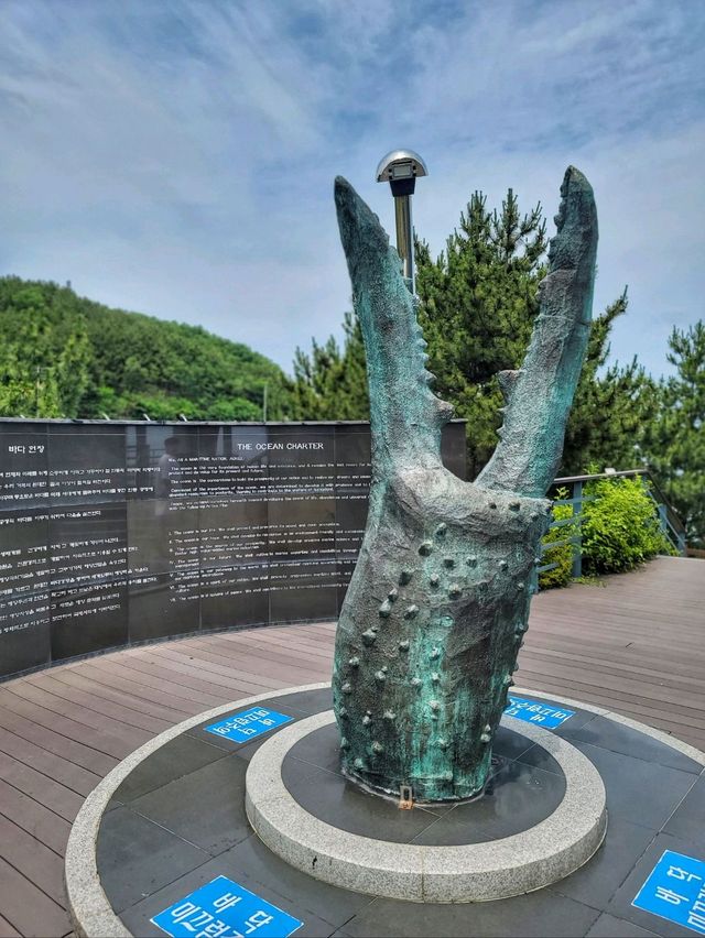 영덕 블루로드 따라 해맞이공원까지🩵