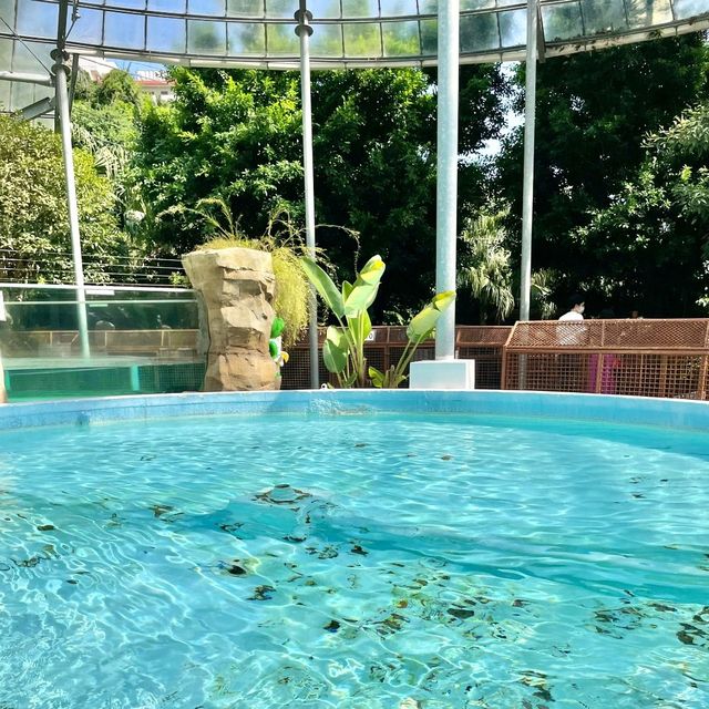 【静岡】熱川バナナワニ園　のんびり🐊や熱帯の植物が楽しめる