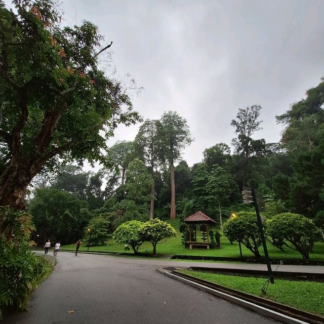 🌲 Lush Greens @ Penang Botanical Gardens