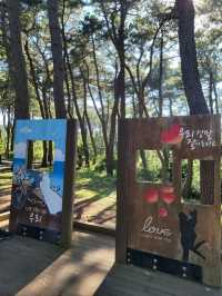 바다아닌 숲속에서 힐링하는 간절곶공원🌲