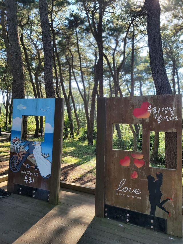 바다아닌 숲속에서 힐링하는 간절곶공원🌲
