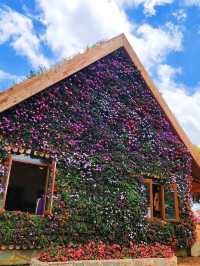 The Colorful Fresh Garden Da Lat 🌺
