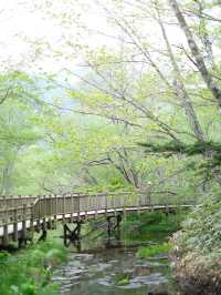 日本上高山景點