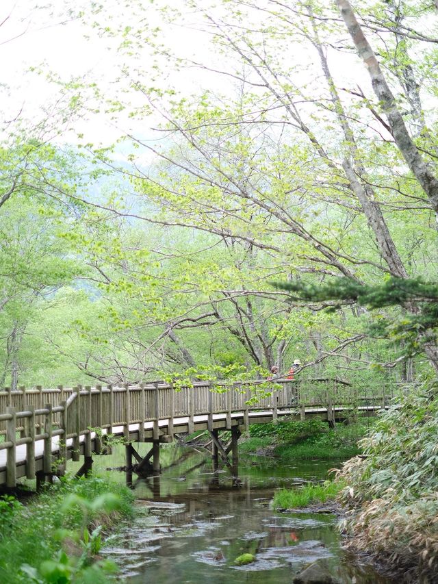 日本上高山景點