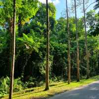 Bukit Batok stunning quarry pool