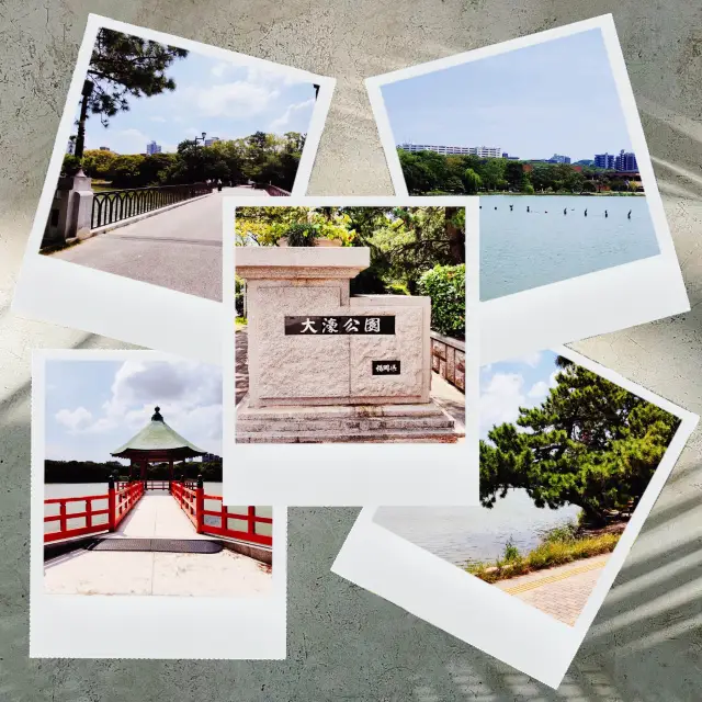 🌸🏞️🔍福岡大濠公園🌍湖畔寶藏🌸🏞️🔍