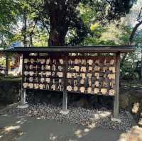 kotoguji temple