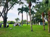 深圳灣 | 休閒好去處-深圳灣公園
