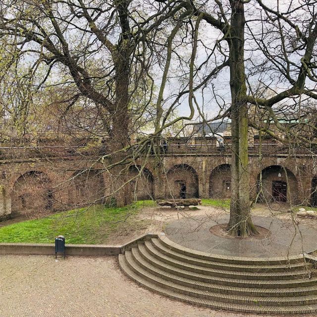 荷蘭🇳🇱萊頓🔰⚜️🔱 Burcht van Leiden 上層景觀篇
