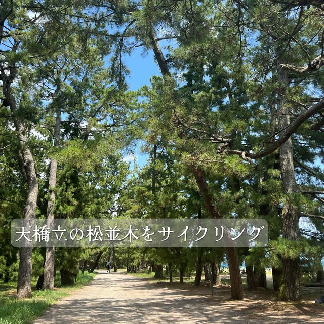 〈日本三景〉京都天橋立オススメ観光スポット⑥選