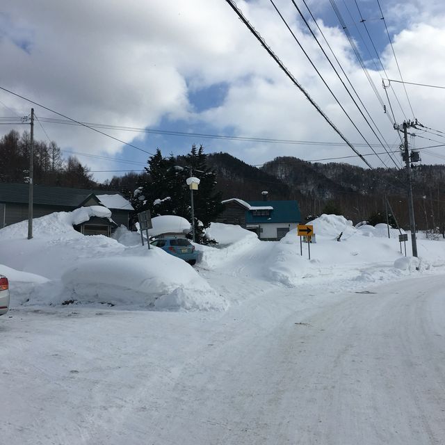 겨울왕국 삿포로❤️온천여행 갈까요?