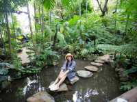 The Forest สวนป่าคาเฟ่ จ.อุตรดิตถ์