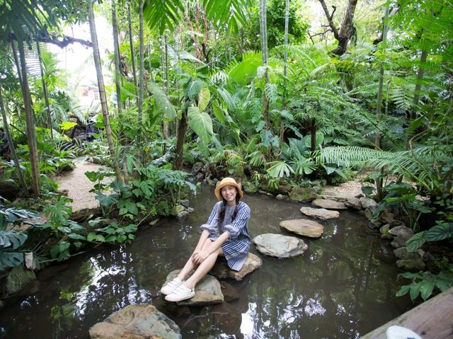 The Forest สวนป่าคาเฟ่ จ.อุตรดิตถ์