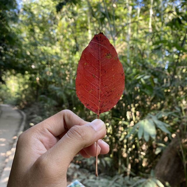 ถ้ำนาคี ความเชื่อเรื่องพญานาค