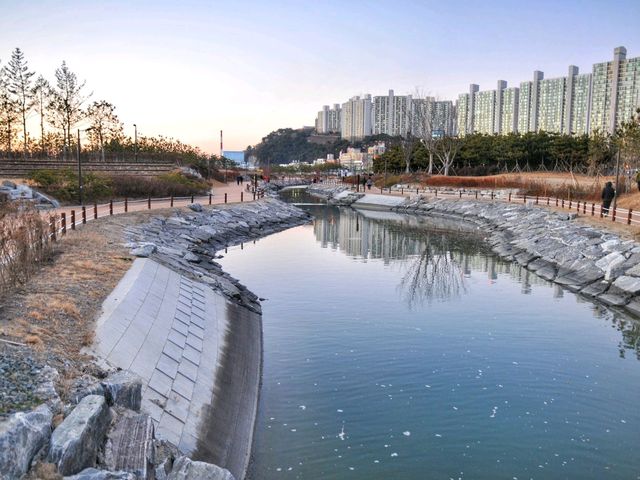 이국적이고도 아름다운 부산의 일몰명소 다대포🌇