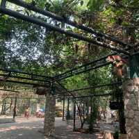 “Safari World” ซาฟารีครั้งเดียวไม่เคยพอ🌳