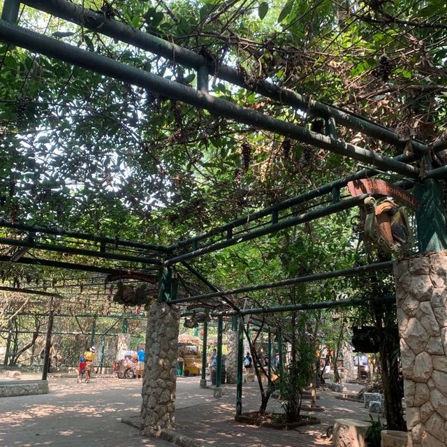 “Safari World” ซาฟารีครั้งเดียวไม่เคยพอ🌳