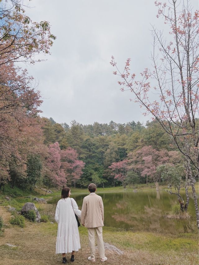 ศูนย์อนุรักษ์พันธุ์กล้วยไม้รองเท้านารี 🌸🌸