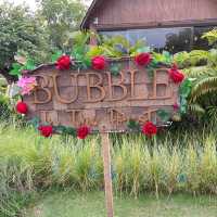 🌹Bubble In The Forest🌹🏡🌴🌳🏝️🍹🥥🪷🌻🌼🌸🌺