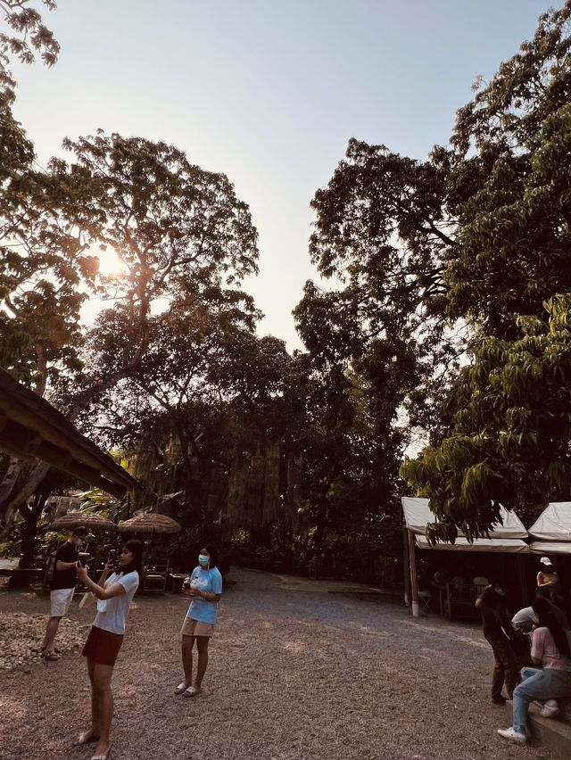 Go on a trip to this NATURA CAFÈ right NOW!