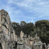 東京親子行程推介🎉上野動物園
