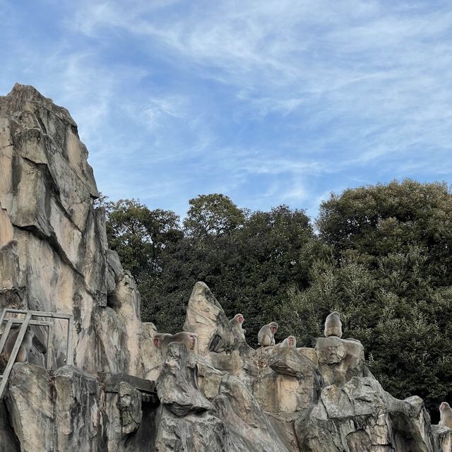 東京親子行程推介🎉上野動物園