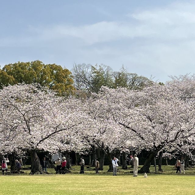 世界文化遺產 日本最美的三大庭園