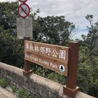 城市綠洲