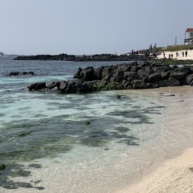 투명한 제주 우도 서빈백사🌊✨