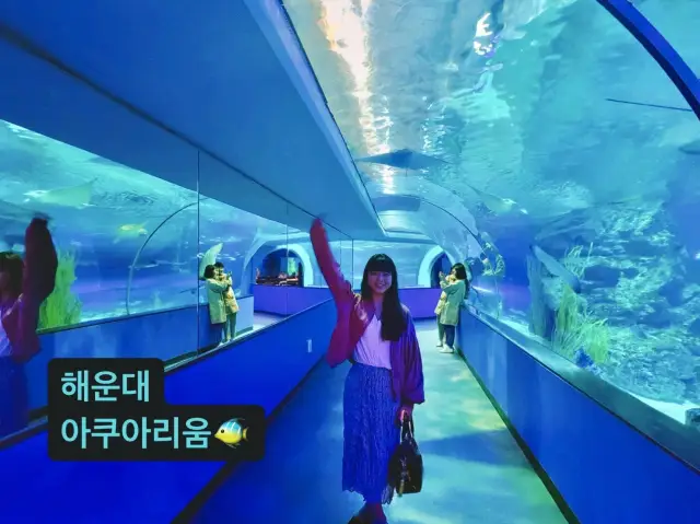 부산 해운대 씨라이프 아쿠아리움🐠