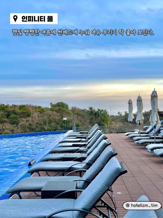 자연과 하나되는 산뜻함 가득한 제주 호텔🏨