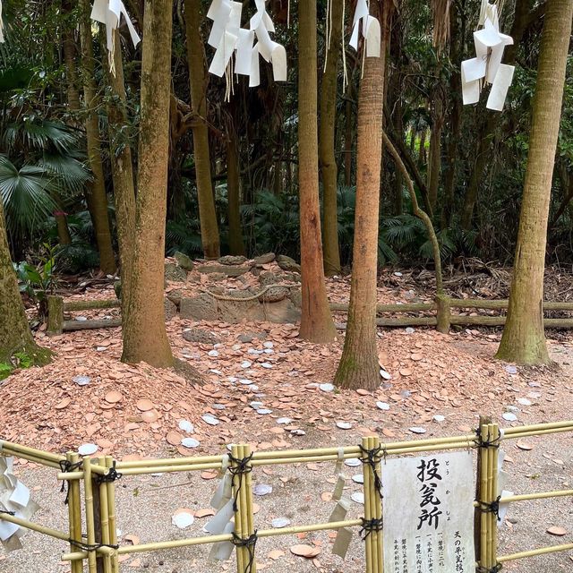 青島