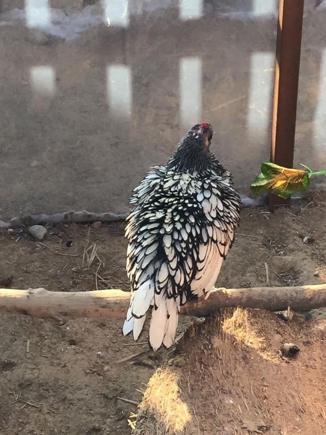 親子遊推薦😚一山韓華水族館❤️小朋友最愛景點