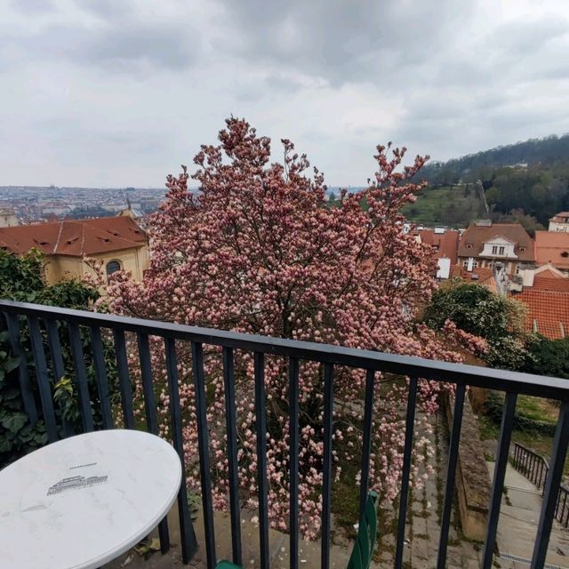 A Wonderful Place To Enjoy Coffee