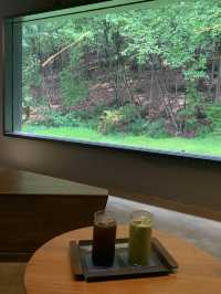 숲멍 가능한 카페 ⛰⛰🌿🌱🌴