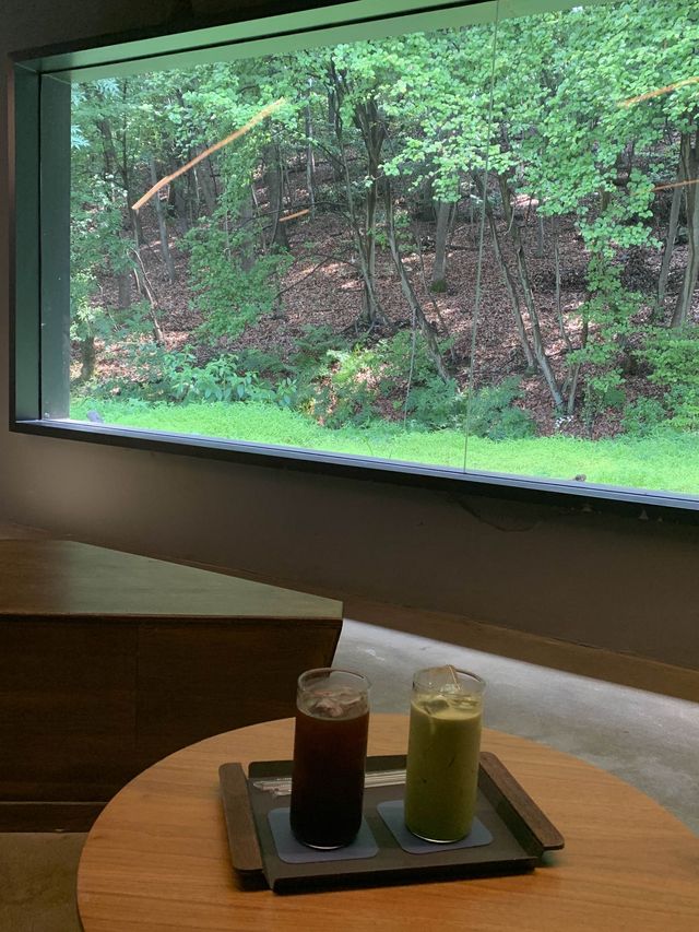 숲멍 가능한 카페 ⛰⛰🌿🌱🌴