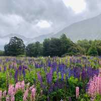 Stopover at Lindis Pass