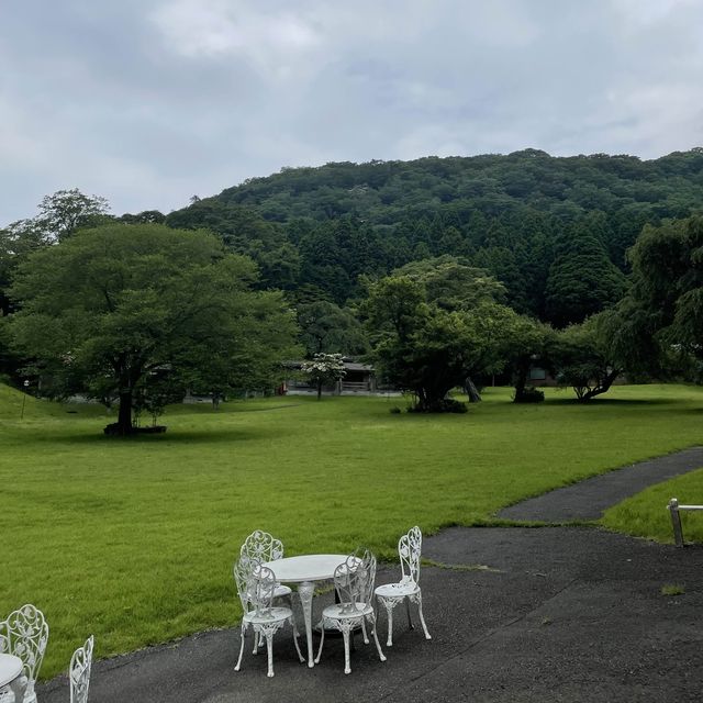箱根九頭龍の森 