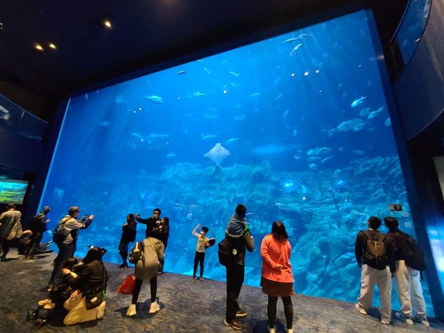 【重拾童年回憶~Ocean Park🎢】