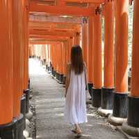 京都 1度は訪れたいオススメSPOT！