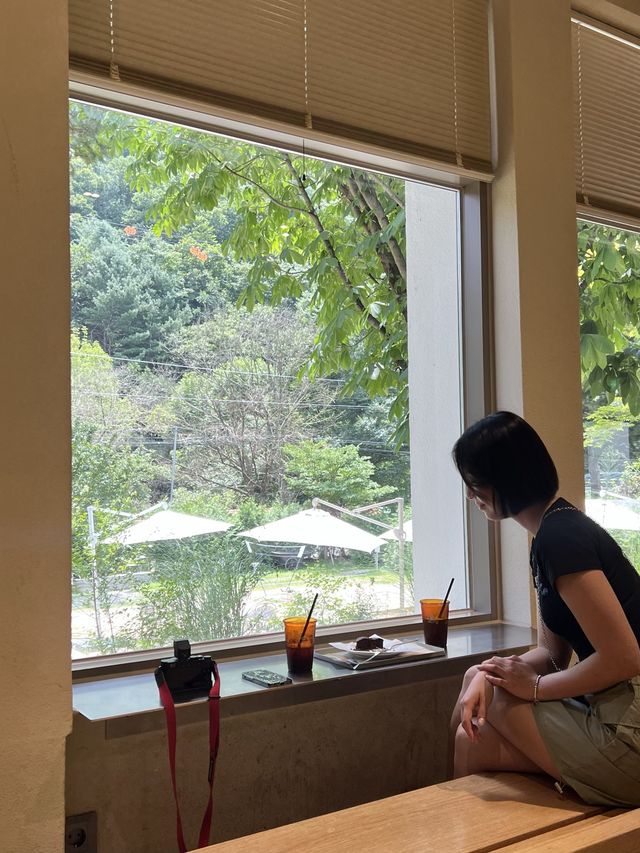 춘천 폐교를 카페로 바꾼 오월학교💛