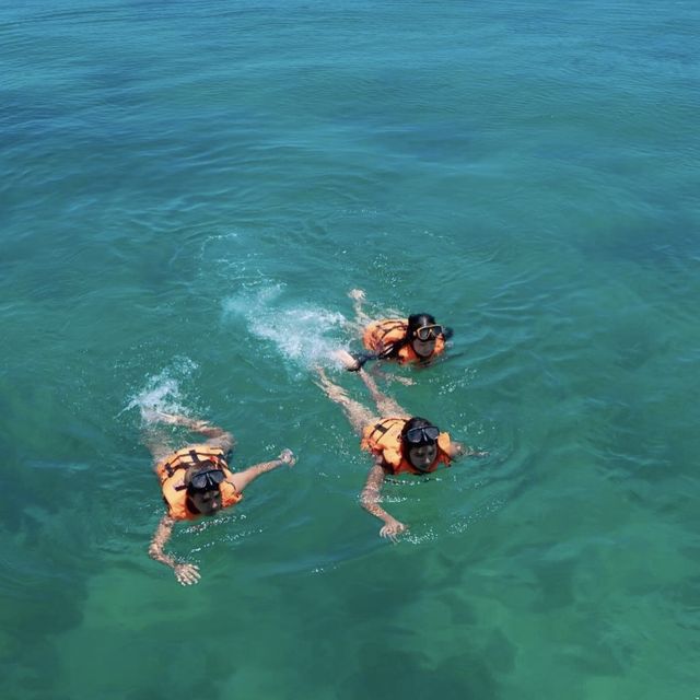 เกาะพีพี หนีเขา ไปทะเล 🌊