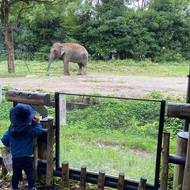 📍よこはま動物園ズーラシア/神奈川県