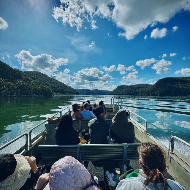 Sydney Oysters Farm Tour - Mooney Mooney