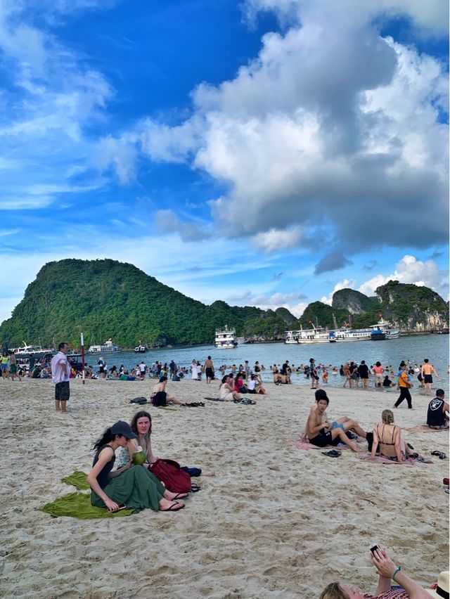 🇻🇳🌊Chill Beach Vibes🌊🇻🇳