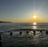  A Coastal Gem: Coogee Beach Delights